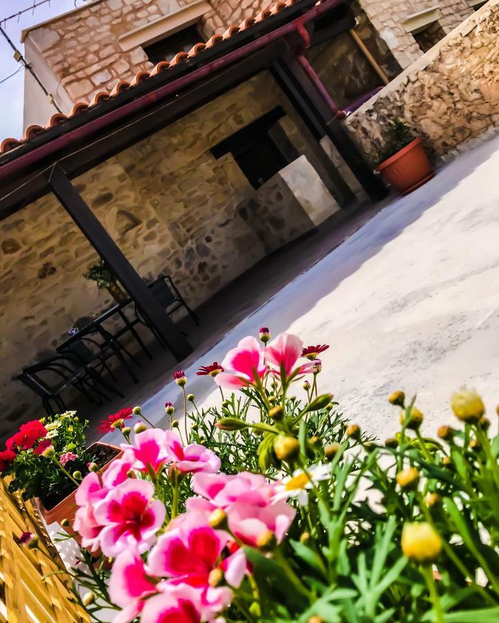 Antonia'S Home Alfa Village Ngoại thất bức ảnh